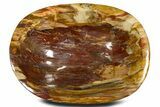 Polished Petrified Wood Bowl ( lbs) - Madagascar #337211-1